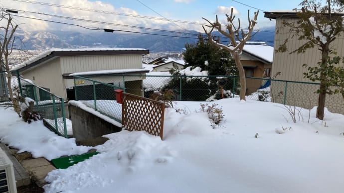 移住して1ヶ月が経ちました〜