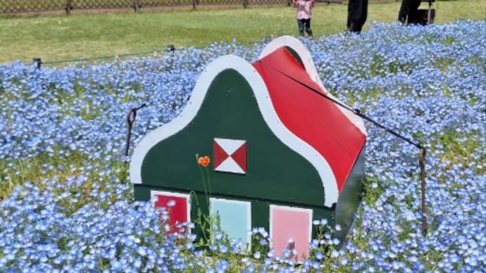 笑顔の花びら集まる日に向けて⑦