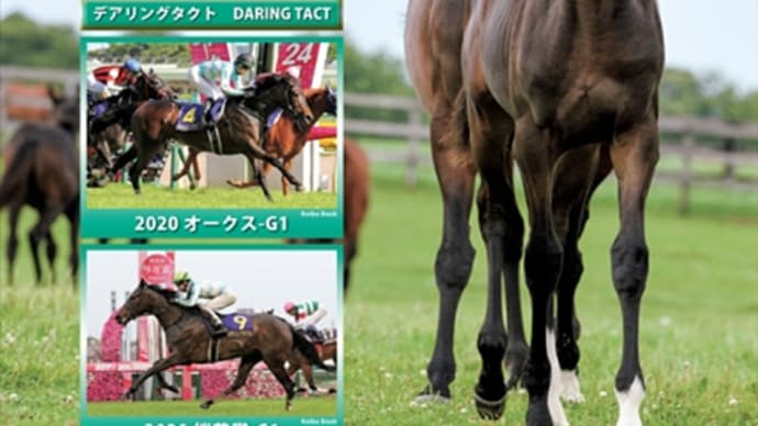 【ジェイエス・秋季繁殖馬セール2020(秋季)】の「上場馬名簿」が発行