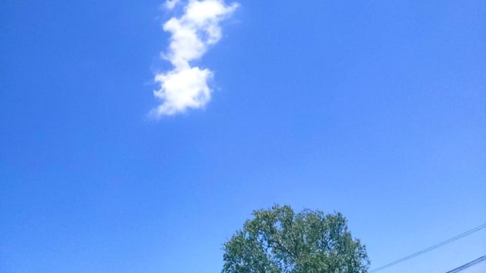 空と木