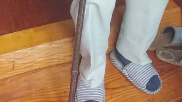 兼用プレゼント。そしてたまには和風もね!