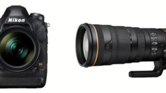Nikon D6 & 120-300 F2.8