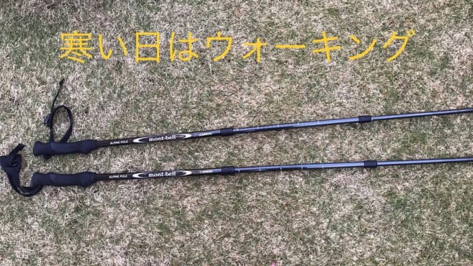 寒い日はウォーキングの方が良いかも