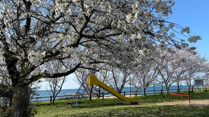 西海岸公園でウォーキング