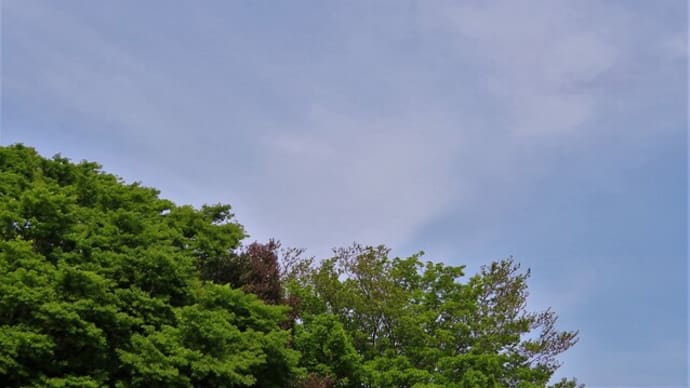 金星と三日月がきれいに並んでいました。