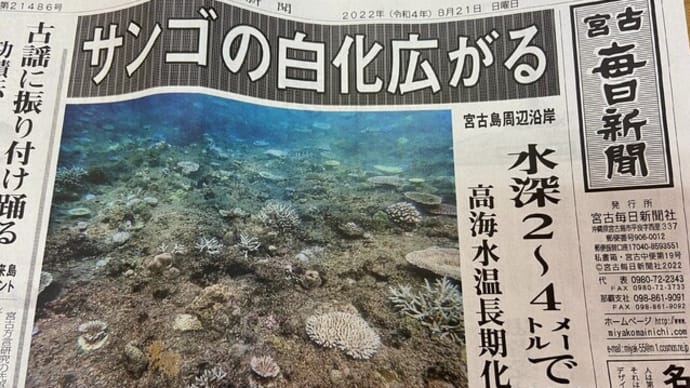 白化現象