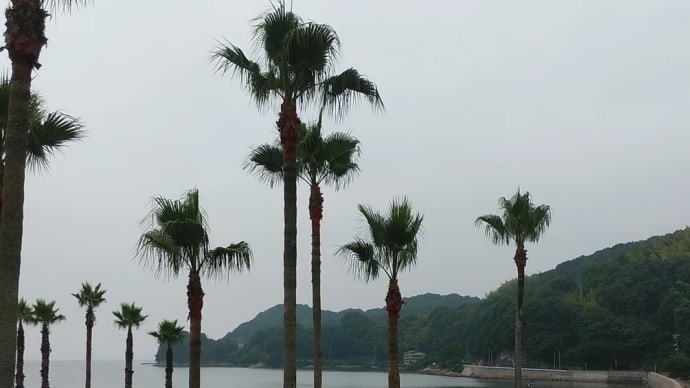 浜辺のひととき、一杯やらんか