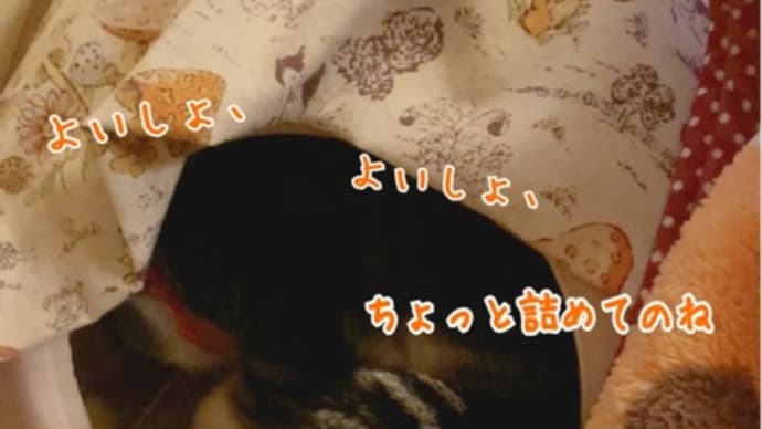 良かったねぇぇ