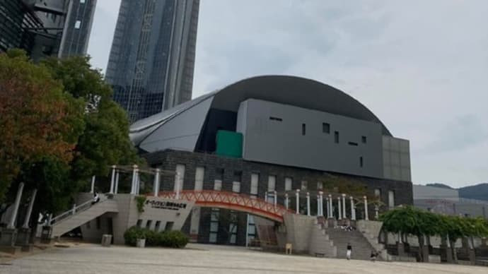 今年最後の大会【福岡市社交ダンス教室・福岡市社交ダンススタジオ・薬院、渡辺通、柳橋・福岡のダンススクールライジングスター】
