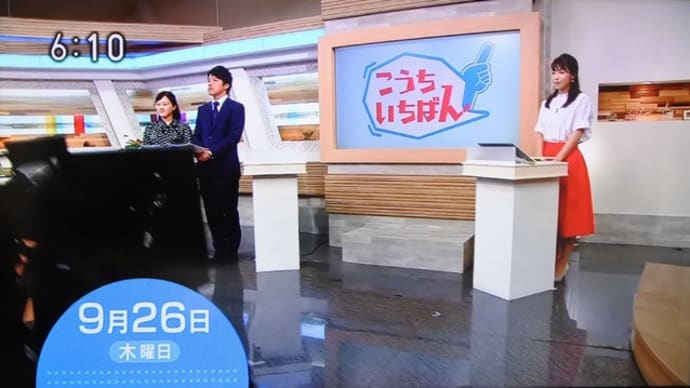 「これ見て!いちばん」放送0926~ヒメノボタン
