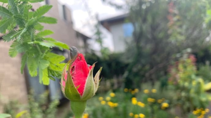 ✨「体感する」ための地球体験🌏🎶✨✨
