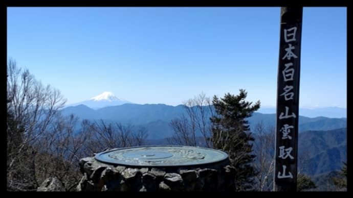 百名山(雲取山)…登っちゃいました②