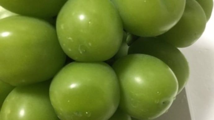 ㊗️美味しい高級お葡萄様と言えば…【hanacafeーこだわり野菜派ー】鮮度保持も抜群