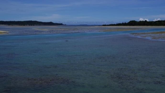 海を歩き、ターゲットを発見(20210612-③)