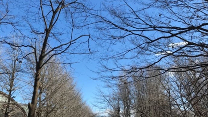 駅前公園で賛美　🏞  2020年1月31日