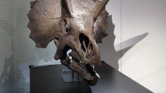 恐竜時代の植物展