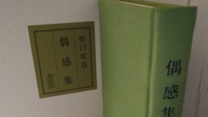 「偶感集」野口晴哉著