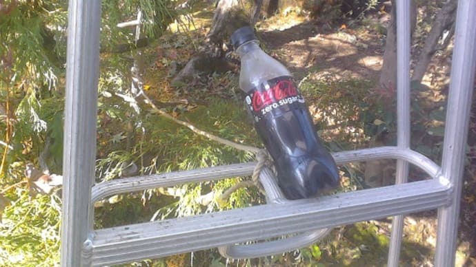 コーラが・・・・・