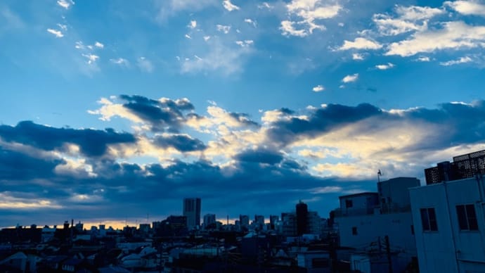 おでんと阿波おどりと。