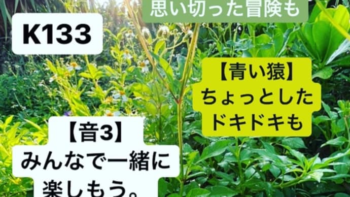 〜マヤ暦 K134 白い魔法使い・青い猿・音4〜 「地水師」のエネルギーを使う