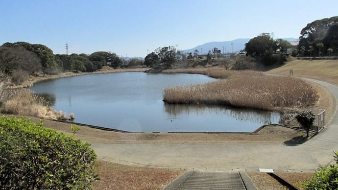 千鳥が池