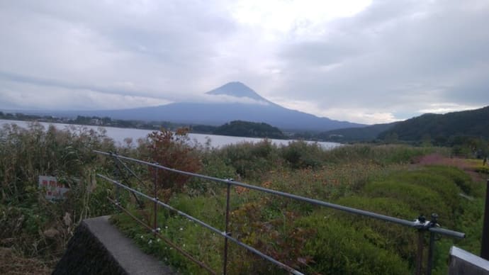 日帰り旅行 シャインマスカット狩り食べ放題ミステリーツアー その4