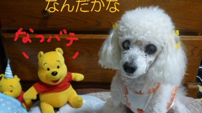 今日も夏日の東京…この眠さは…隠れ夏バテかな？　(-＿-)ｳｰﾑ 