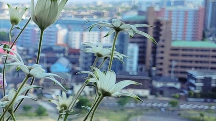 背中を押されて・・・