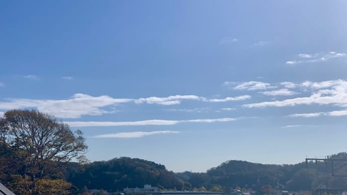 結局、人ごみの中へ・・・臨床細胞学会