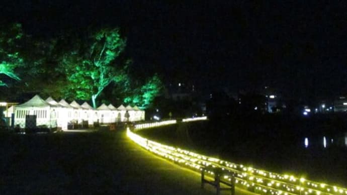 今夜は念願の夜遊び