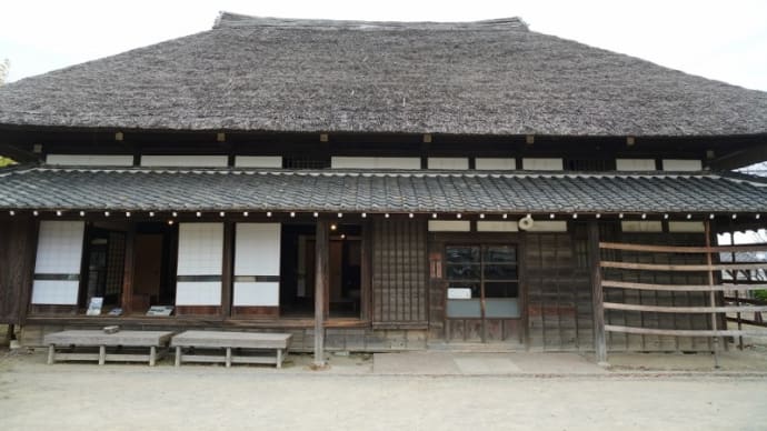 足立区都市農業公園の古民家とヒヨドリ(足立区都市農業公園 2022.1.30撮影)