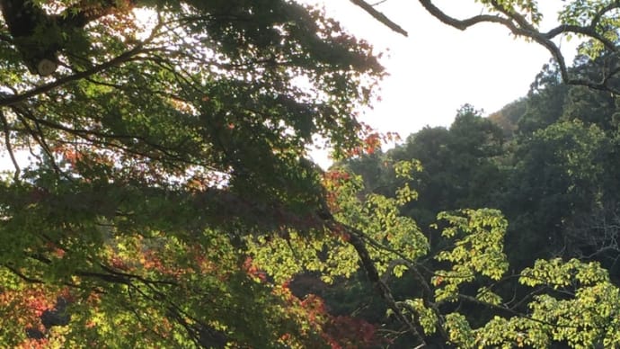 もうすぐ9月😊9月は『健康増進普及月間』なんです☝️