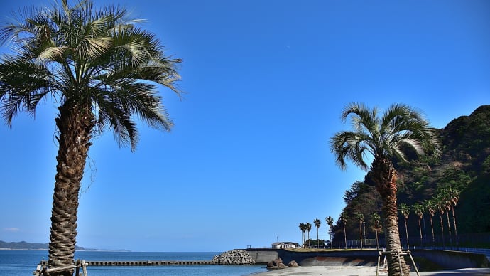 「向萩の浜」は真夏に見える