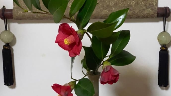 断捨離効果??