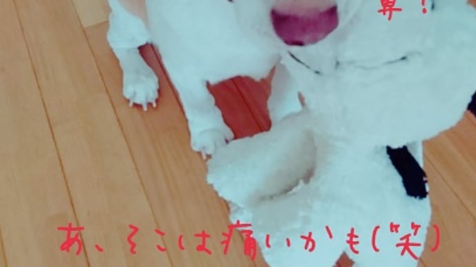 やらかした♡やっぱりね・・・。