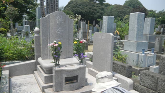 静かな花の山で本を読みたいな 8ページ目