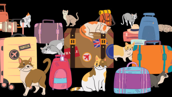 マレーシア→日本：猫の引越　参考サイトリンク集