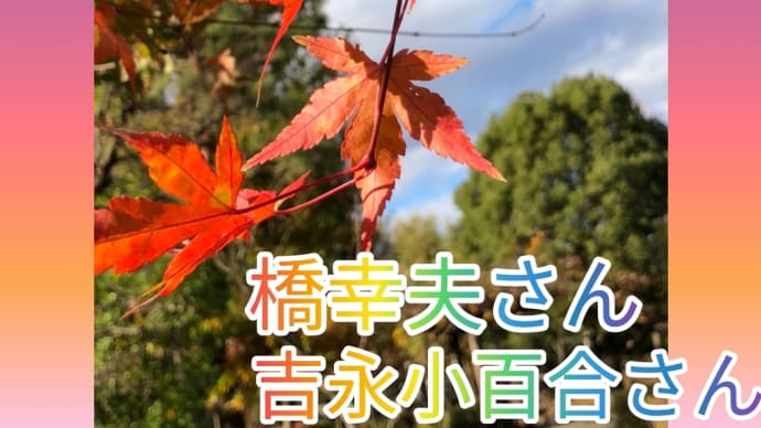 昭和歌謡をカリンバで〘いつでも夢を〙