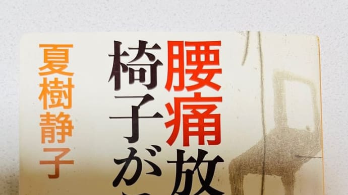 腰痛 2 続きです