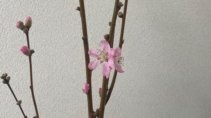 内容証明14 fin