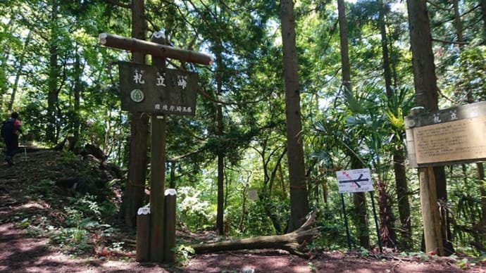 遍路NEXT STAGE in 秩父(5日目:松井田バス停~34番水潜寺)