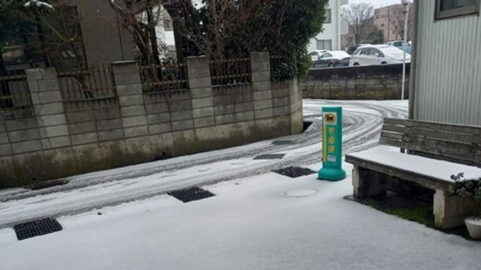 きょうは真冬に逆戻り🥶