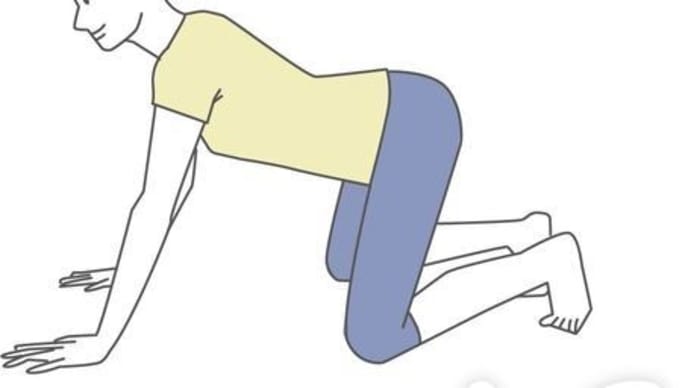✨〜New Style_イラストフリー素材: ストレッチ_お尻と骨盤〜✨