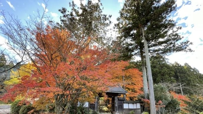 紅葉に包まれた池はモネの『睡蓮』を思わせる美しさだった!