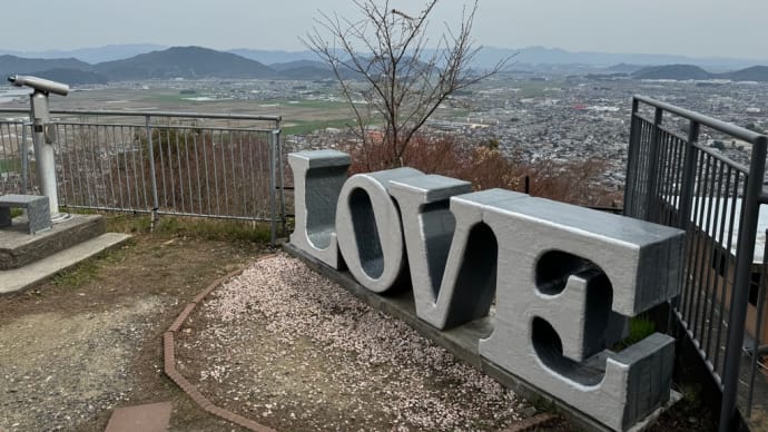 「八幡山から琵琶湖は見えますか？」を確認しに行く。