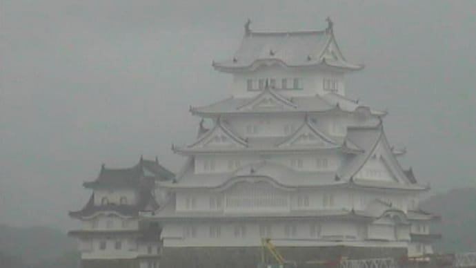 今 の姫路城 (2014.7.10)
