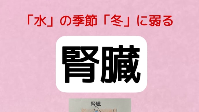 冬に弱りやすい腎臓