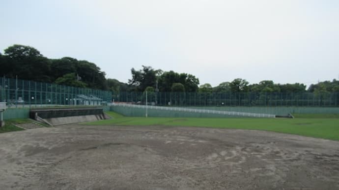 湖になった野球場 今日は
