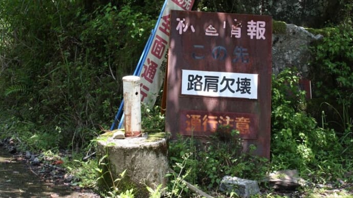 青葉ヤマメのアヒージョと洒落てみた【九州脊梁山地ヤマメ幻釣譚<25ー10>】