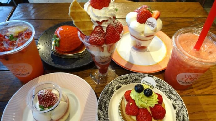 高知 念願のイチゴイチエで夢の苺三昧♡